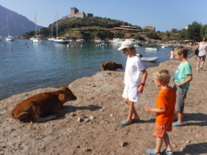 09-09-vaches-sur-la-plage